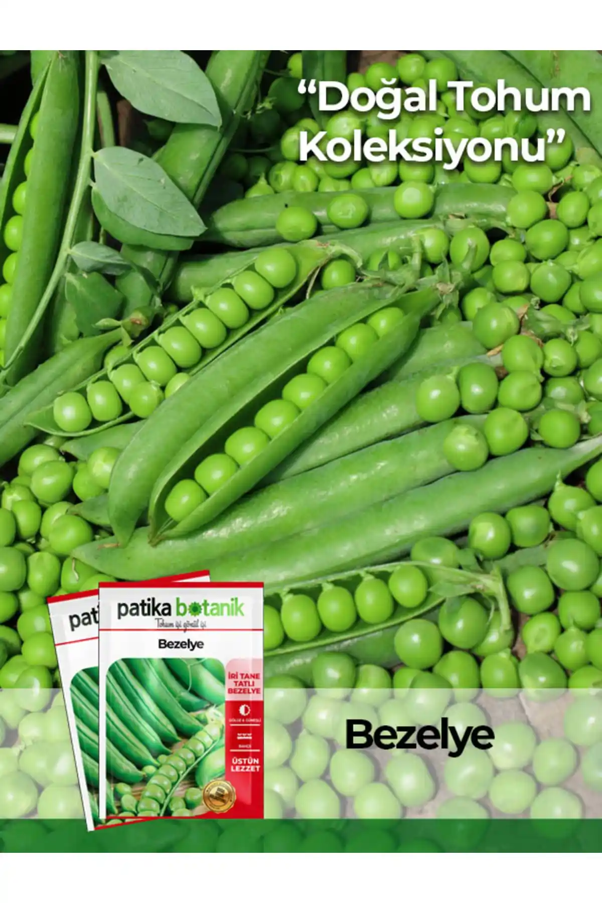 Patika Botanik 50 Adet Taze Bezelye Tohumu Doğal ve Verimli Sebze Yetiştiriciliği