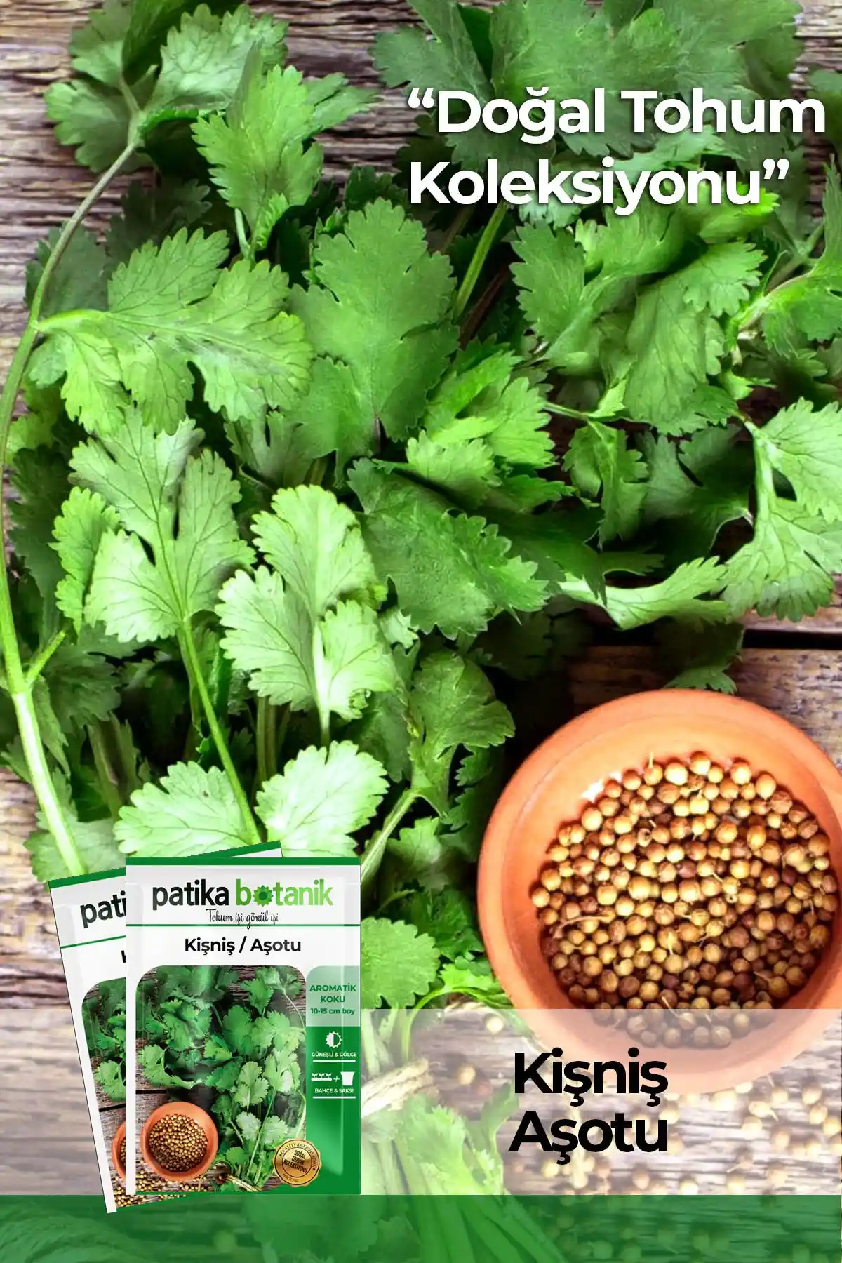 Patika Botanik 600 Adet Kişniş Tohumu Doğal ve Verimli Yetiştirme Rehberi