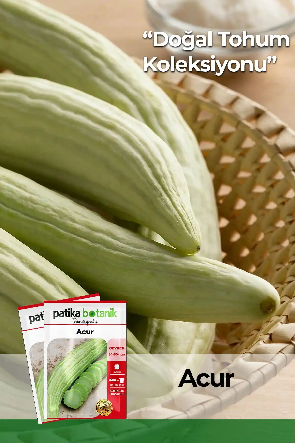 Patika Botanik Acur Tohumu 100 Adet - Doğal ve Verimli Sebze Yetiştiriciliği İçin