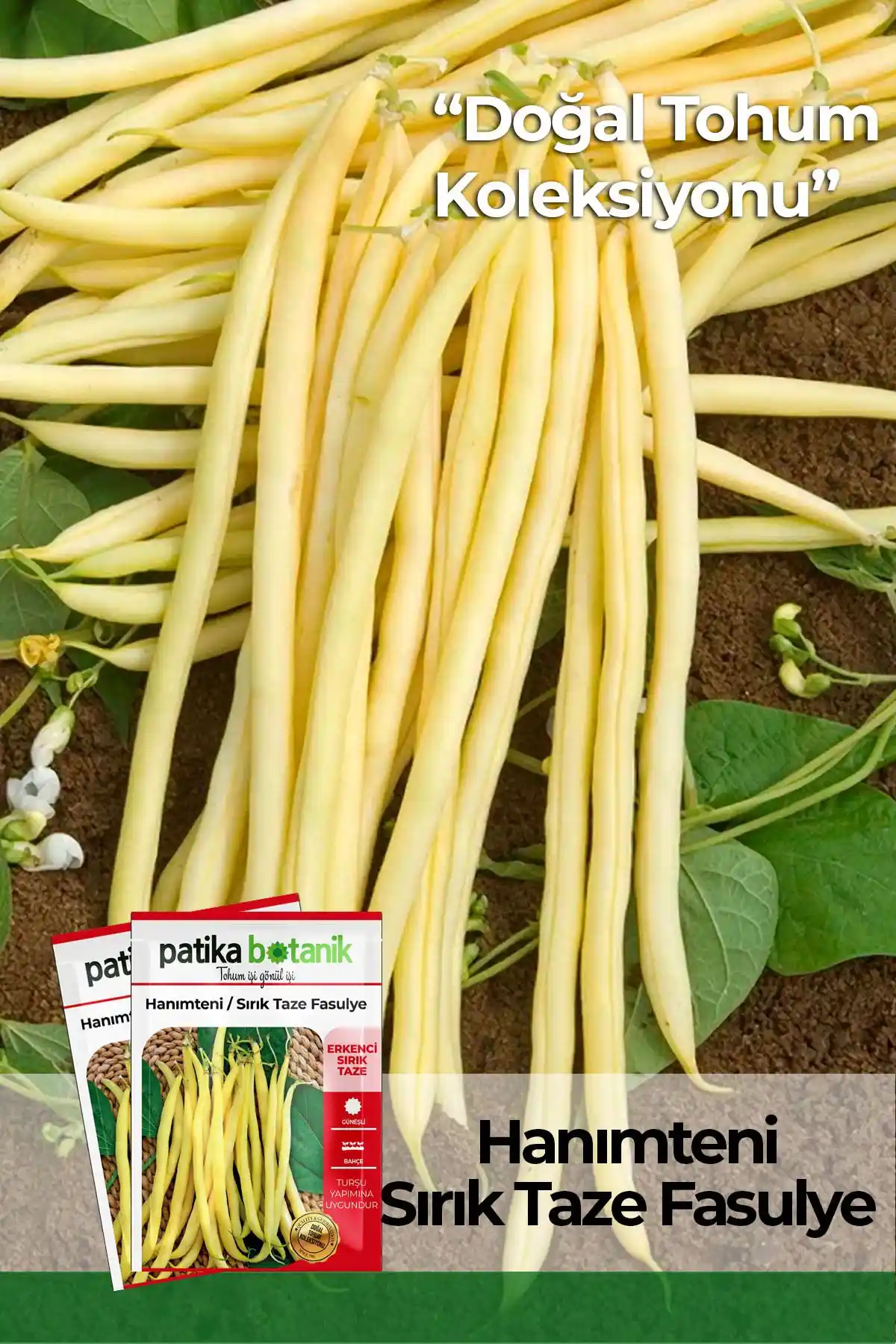 Patika Botanik Hanımteni Fasülye Tohumu: Yüksek Verimli ve Kolay Yetiştirilebilir Çiftlik Sebzesi