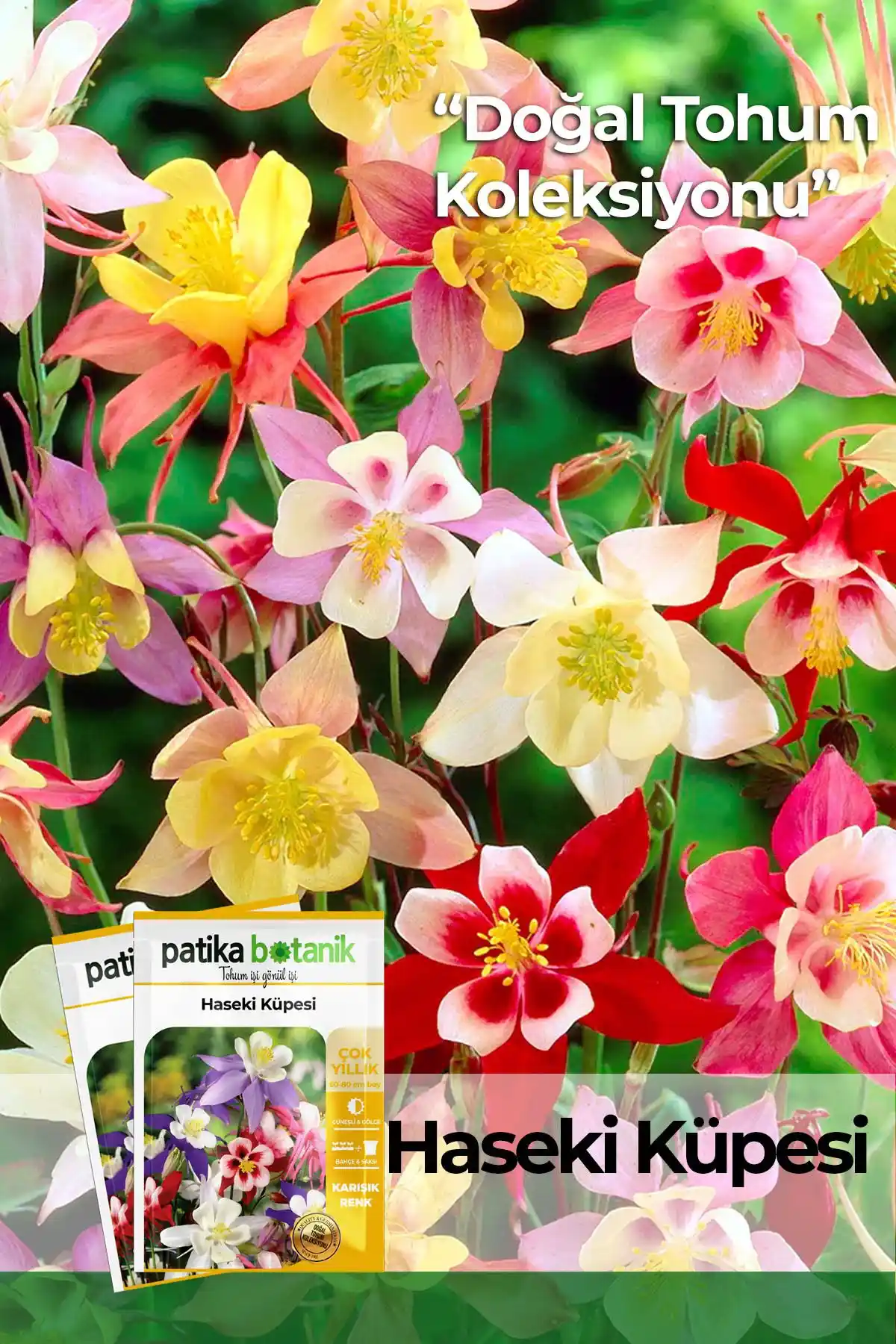 Patika Botanik Haseki Küpesi Çiçek Tohumu 100 Adet Bahçe ve Saksı Yetiştiriciliği İçin