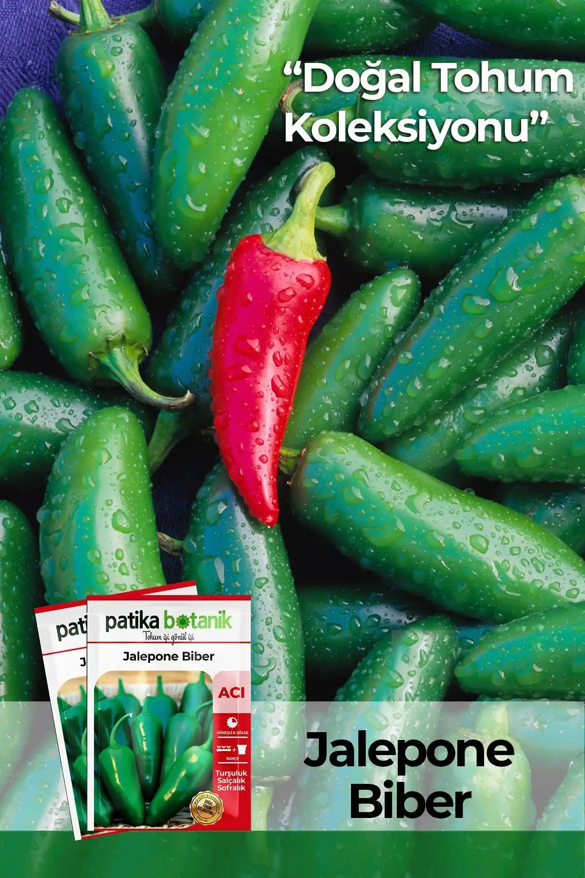 Patika Botanik Jalapeno Biber Tohumu 200 Adet - Yüksek Kalite ve Güvenilir Üretim