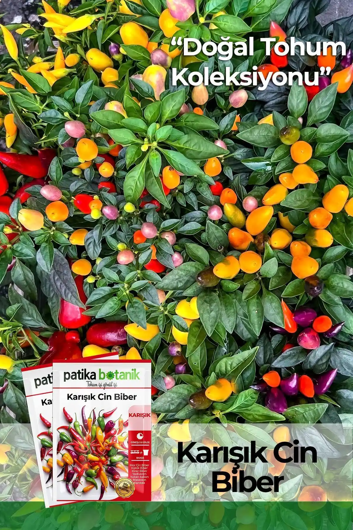 Patika Botanik Karışık Cin Biber Tohumları 200 Adet Bahçe ve Tarla Ekimi İçin