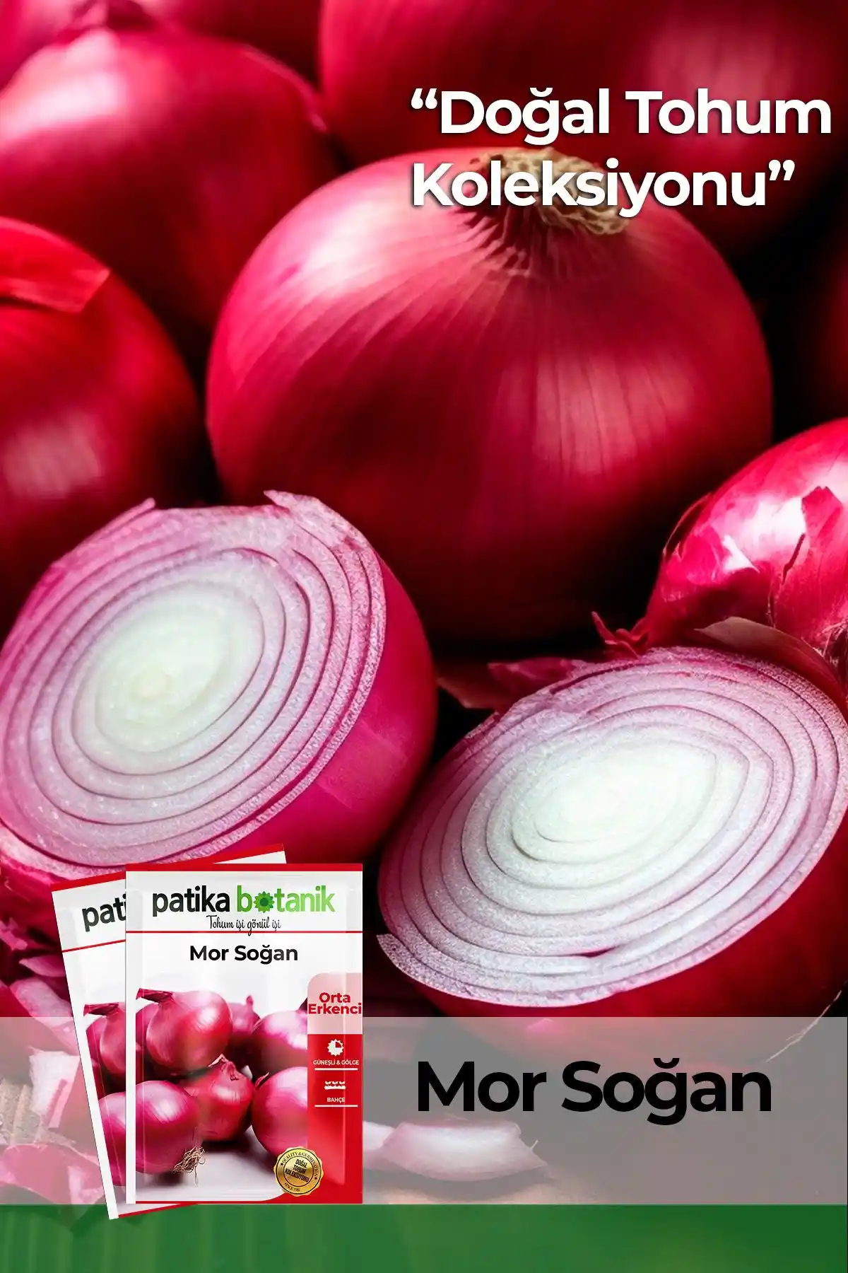 Patika Botanik Mor Soğan Tohumu 500 Adetle Renkli ve Lezzetli Bahçe Yetiştiriciliği