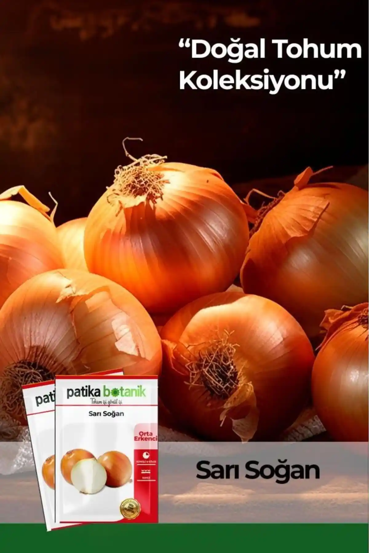 Patika Botanik Sarı Soğan Tohumu 500 Adet Yüksek Verimli ve Doğal Tarım İçin Uygun