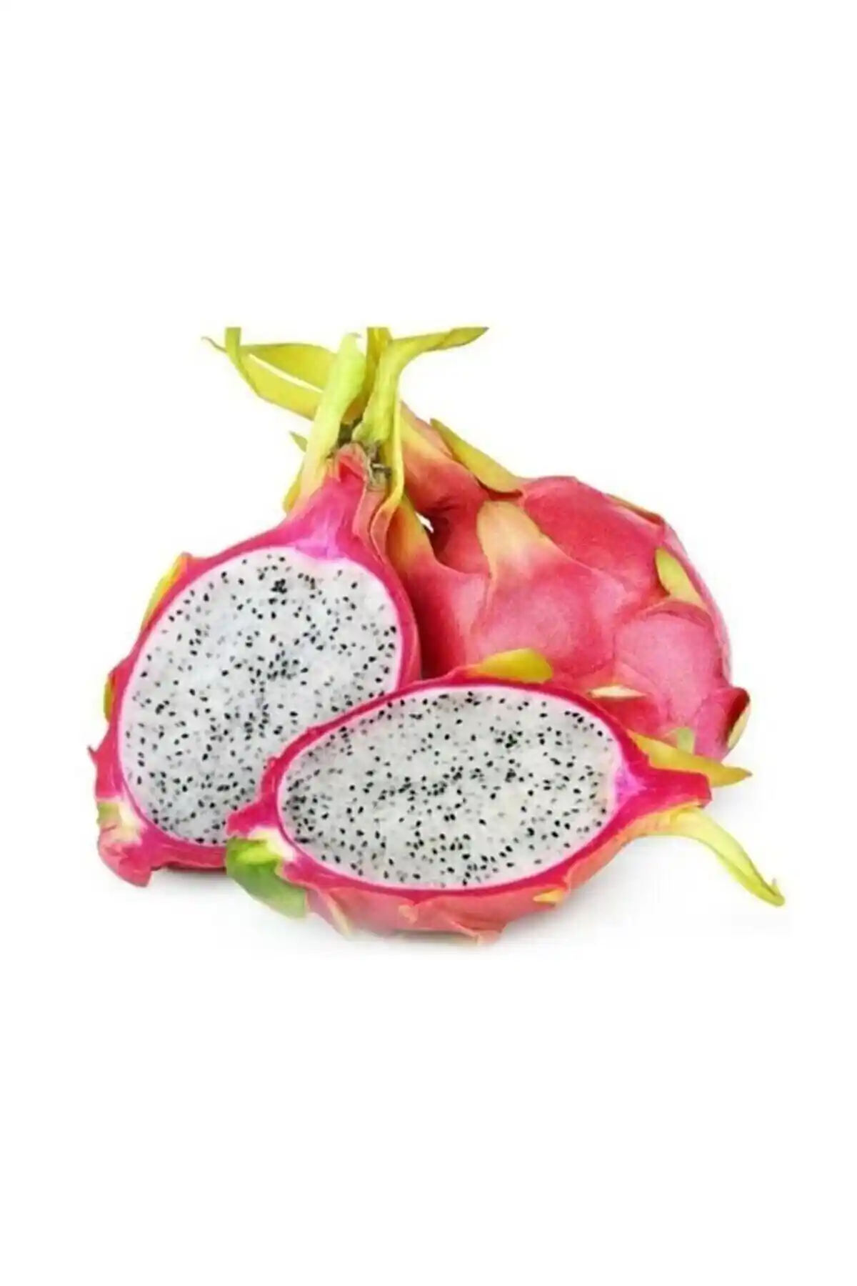 Pitaya Tohumu ile Evde Sağlıklı Ejder Meyvesi Yetiştirmenin Temel Yolları ve Avantajları