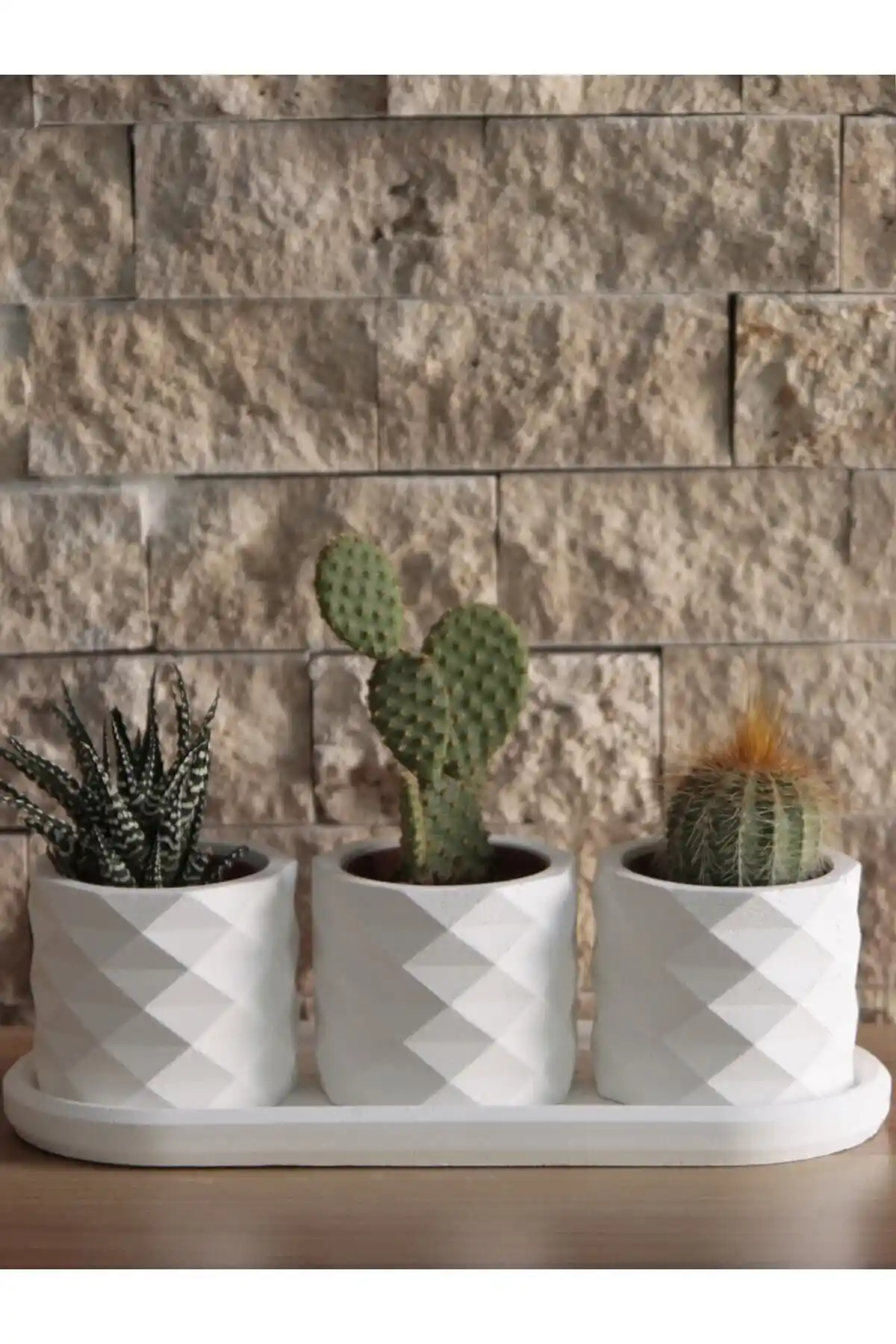 Stonnish Prizma Sukulent Saksı Oval Tabaklı 3'lü Set Modern ve Şık Dekoratif Tasarım