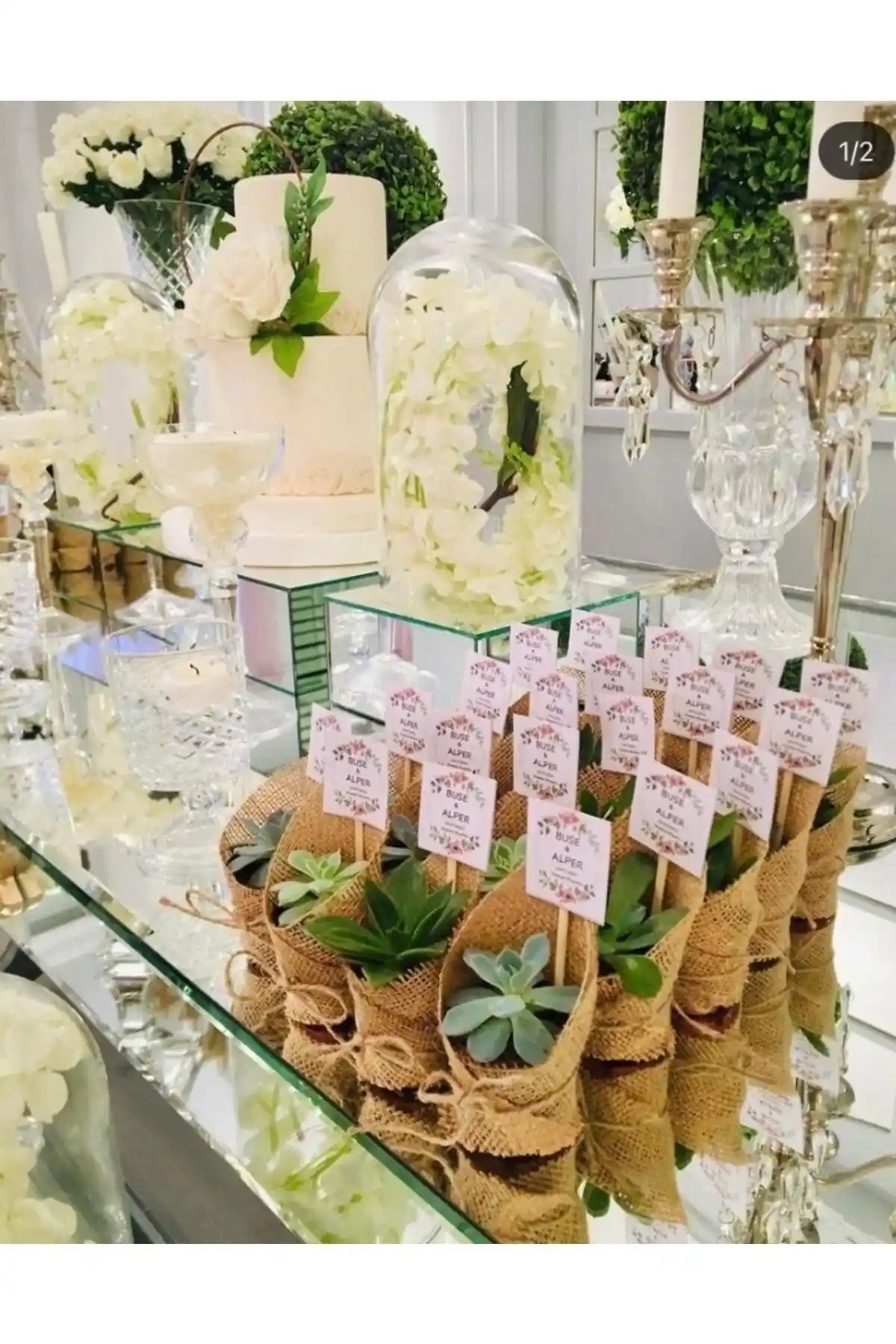 Sukulentİstanbul Karma Sukulent Nikah Şekeri: Doğal ve Kişiselleştirilebilir Hediye Seçeneği