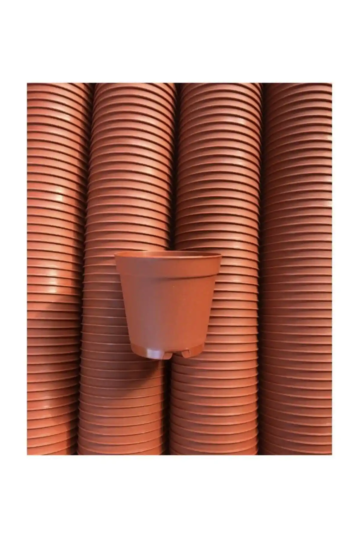 Tekpar 5.5 cm Sukulent ve Kaktüs Saksısı Seti Estetik ve Dayanıklı Tasarım