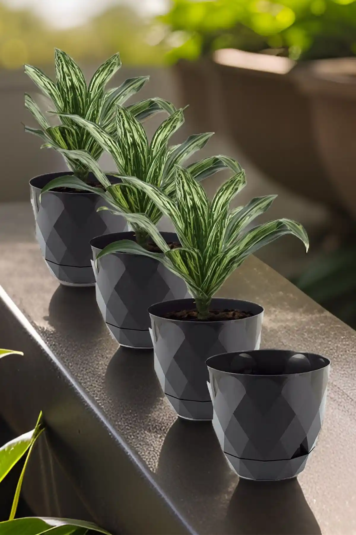 Temmuz Home 4'lü Baklava Desenli Plastik Saksı Seti Modern ve Şık Dekoratif Çözüm