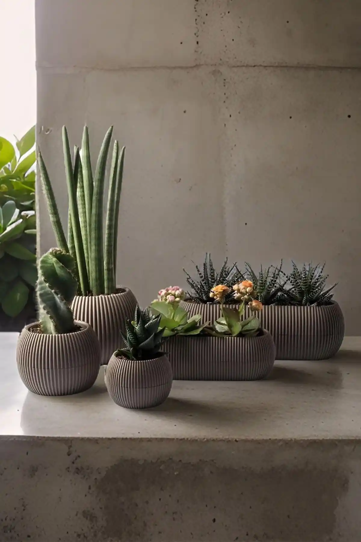 Temmuz Home Karasu Dekoratif Modern Mercan Saksı Seti 5 Parça ev ve bahçe kullanımı için