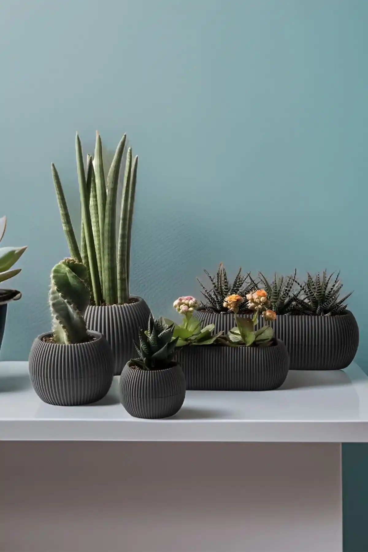 Temmuz Home Karasu Modern Mercan Saksı Seti ile Şık ve Dayanıklı Dekorasyon Çözümleri