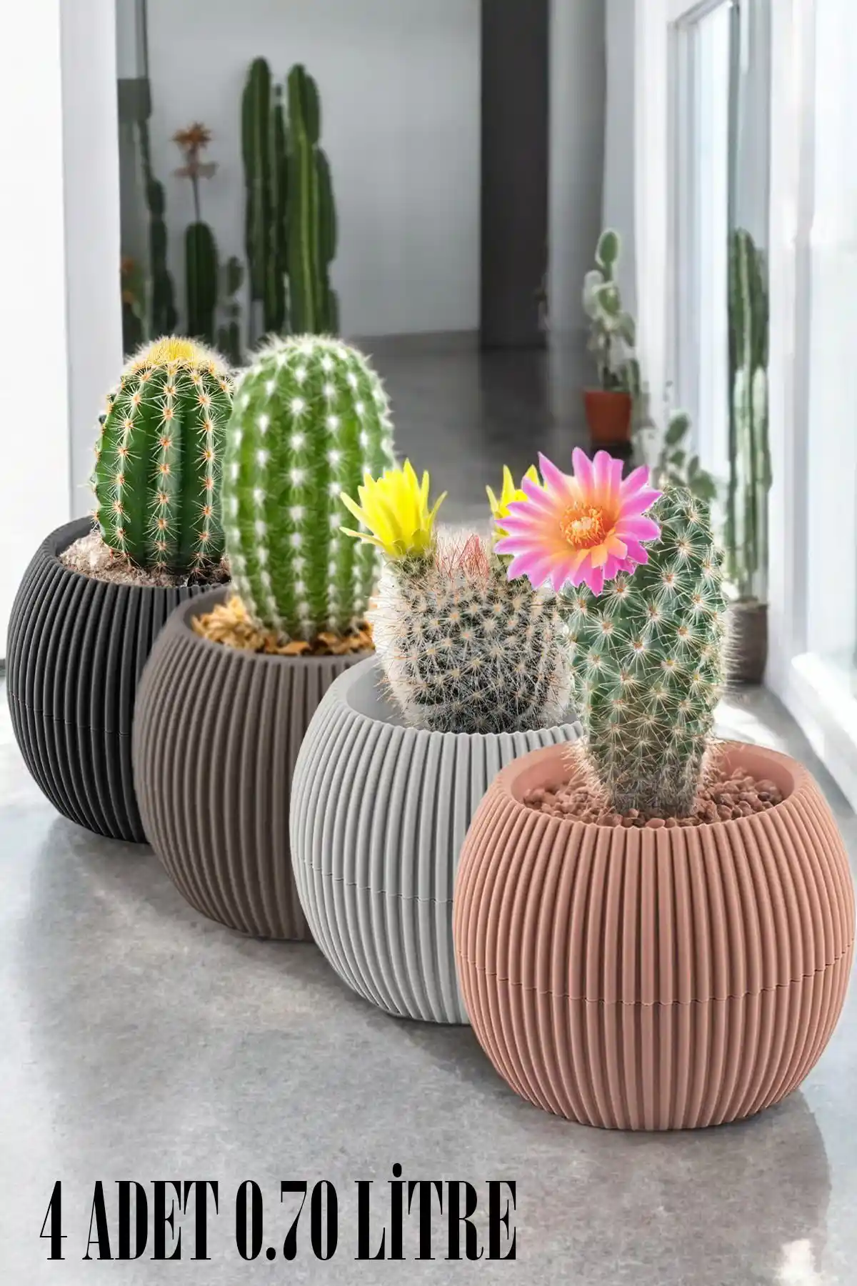 Temmuz Home Karışık Renkli 4 Adet Plastik Saksı Seti İç Mekan ve Masaüstü Dekorasyonu