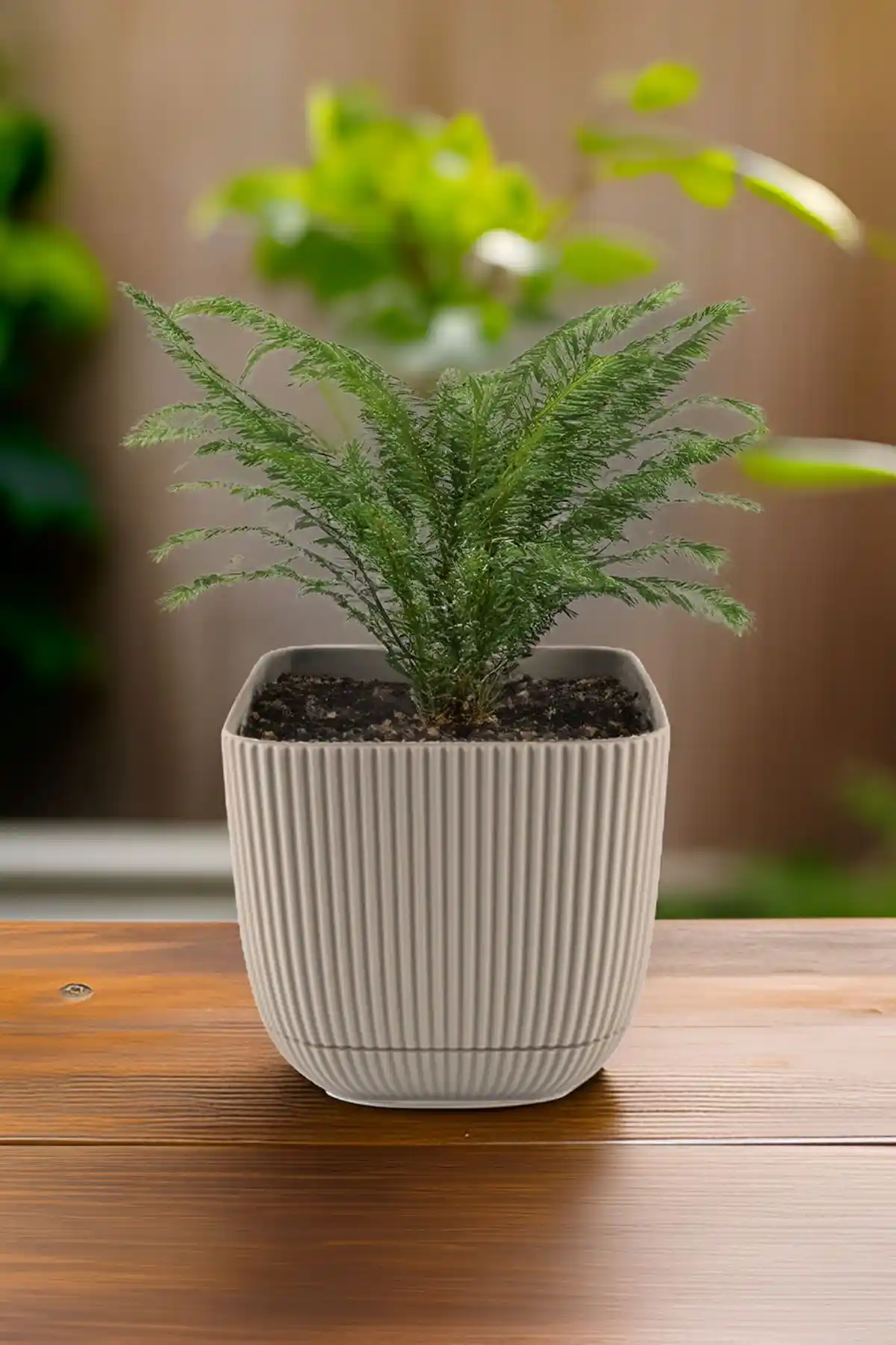 Temmuz Home Mercan Kare Saksı ile İç ve Dış Mekan Dekorasyonunu Geliştirin