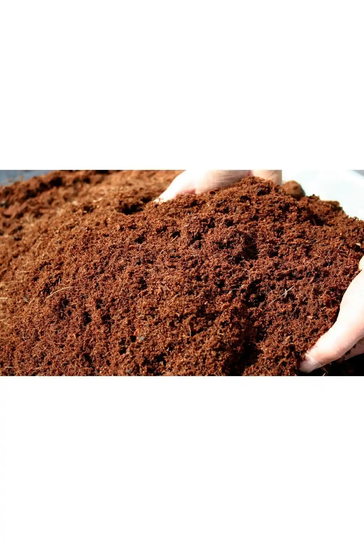 Toprak Doğal 5 Lt Cocopeat Torf ile Sağlıklı Bitki Bakımı ve Yetiştiriciliği