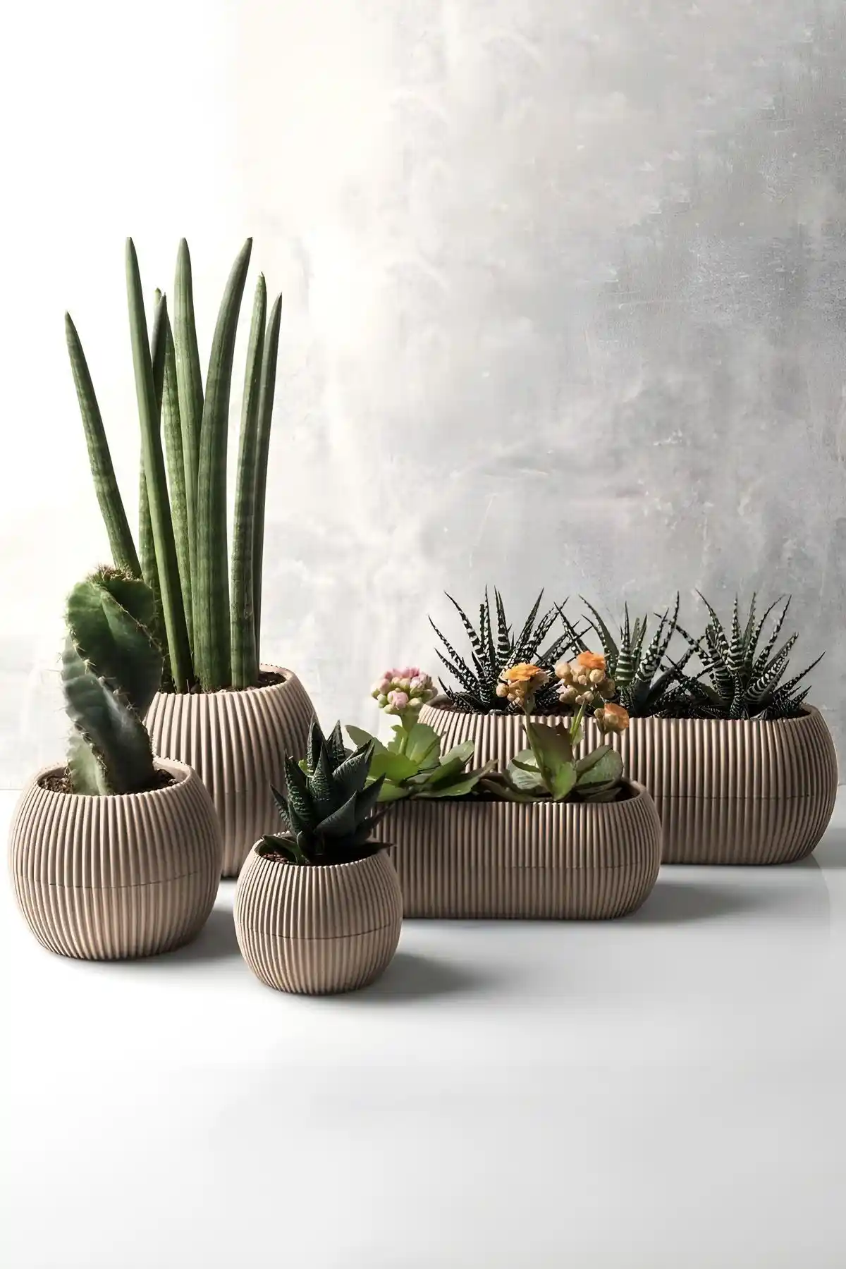 ToXA 5 Parça Karasu Plastik Mercan Saksı Seti Modern ve Dayanıklı Dekoratif Saksı Çözümü