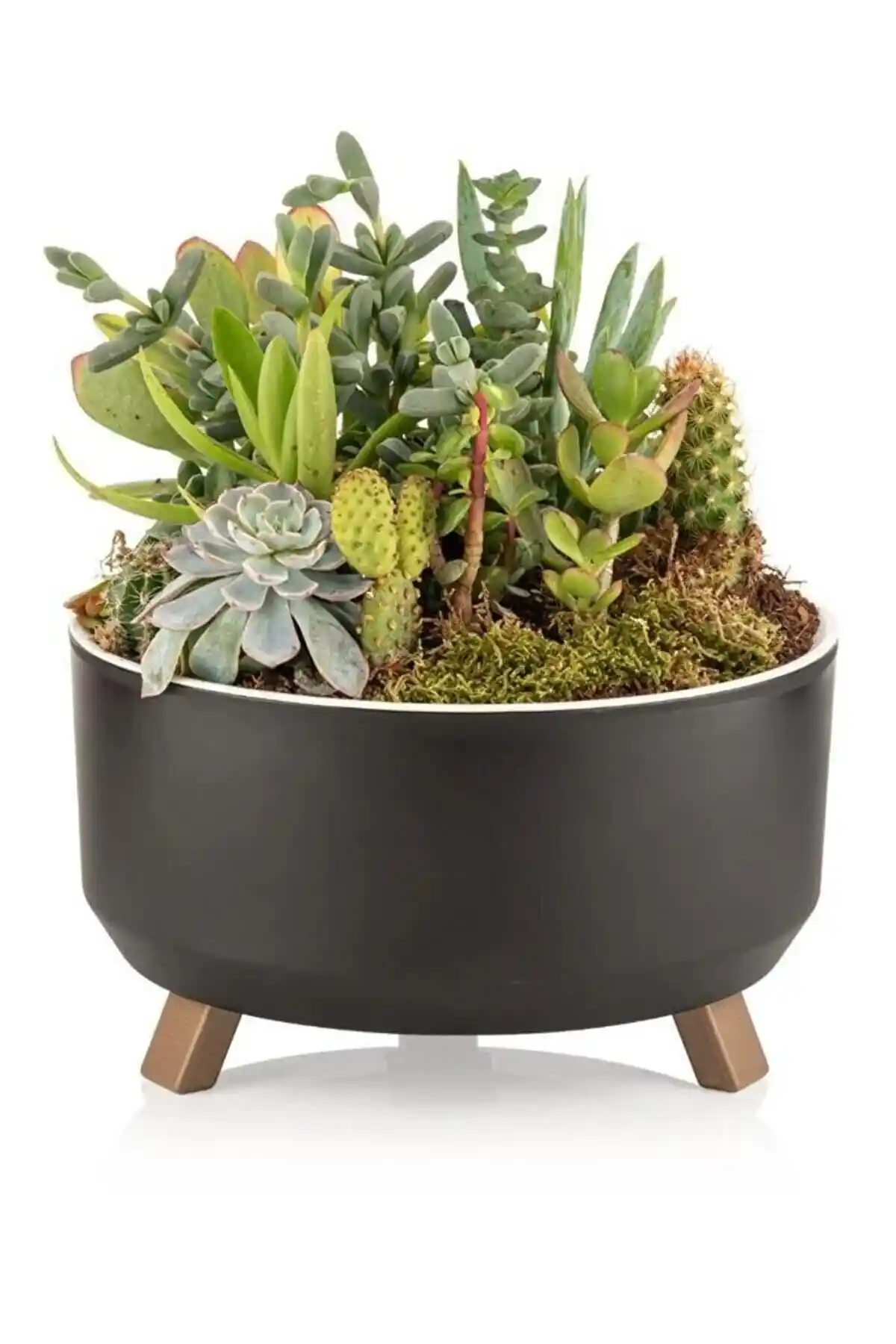 ToXA Ayaklı Süzgeçli Sukulent ve Menekşe Saksısı Modern Tasarım ve Fonksiyonellik