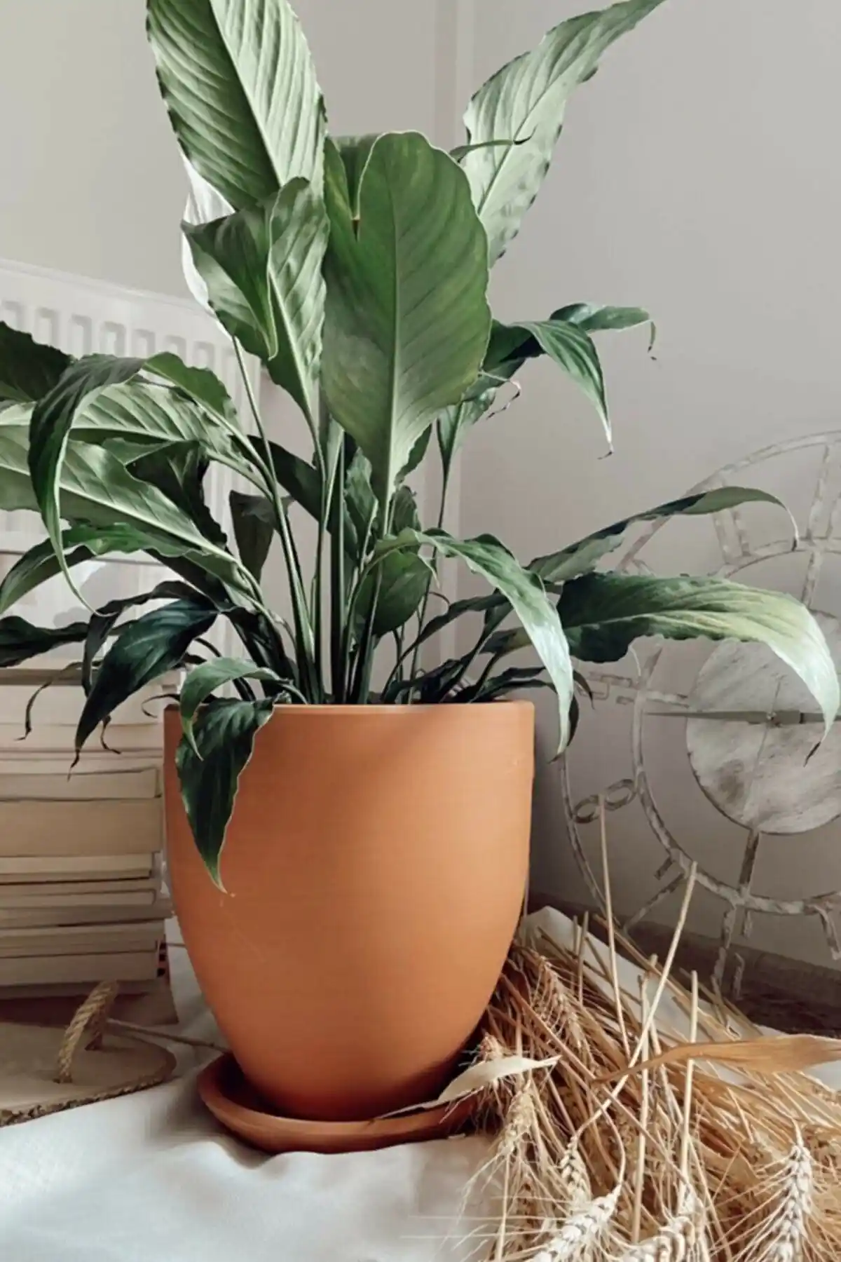 Woosen Büyük Boy Seramik Toprak Saksı Modern Tasarımıyla Dekorasyonlara Şıklık Katar