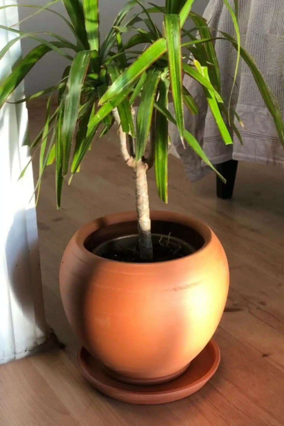 Woosen El Yapımı Doğal Terleyen Seramik Dekoratif Saksı Yüksek Kalite ve Estetik Bir Seçenek