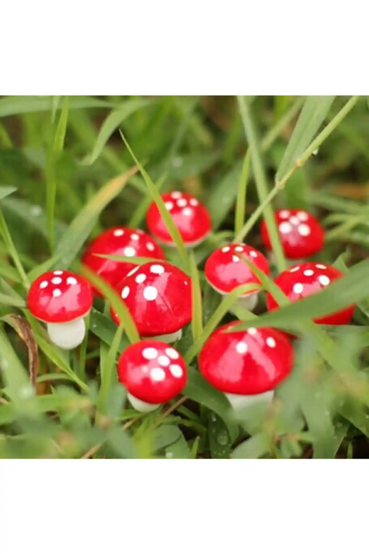 Yapay Mantarlar ile Dekorasyonunuzu Canlandırın: 10 Adet Mini Teraryum Malzemeleri