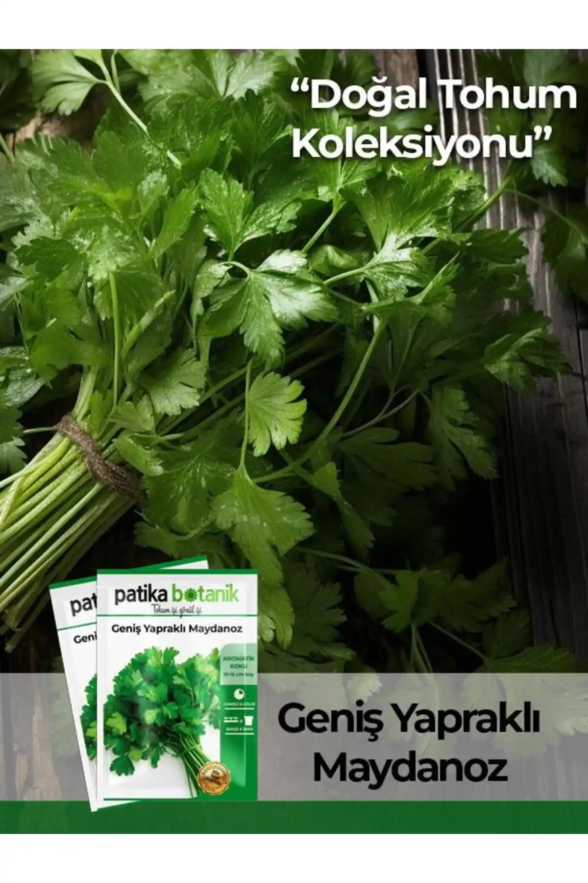 Yerli Maydanoz Tohumu: Yüksek Verim ve Dayanıklılık Sunan Organik Seçenek