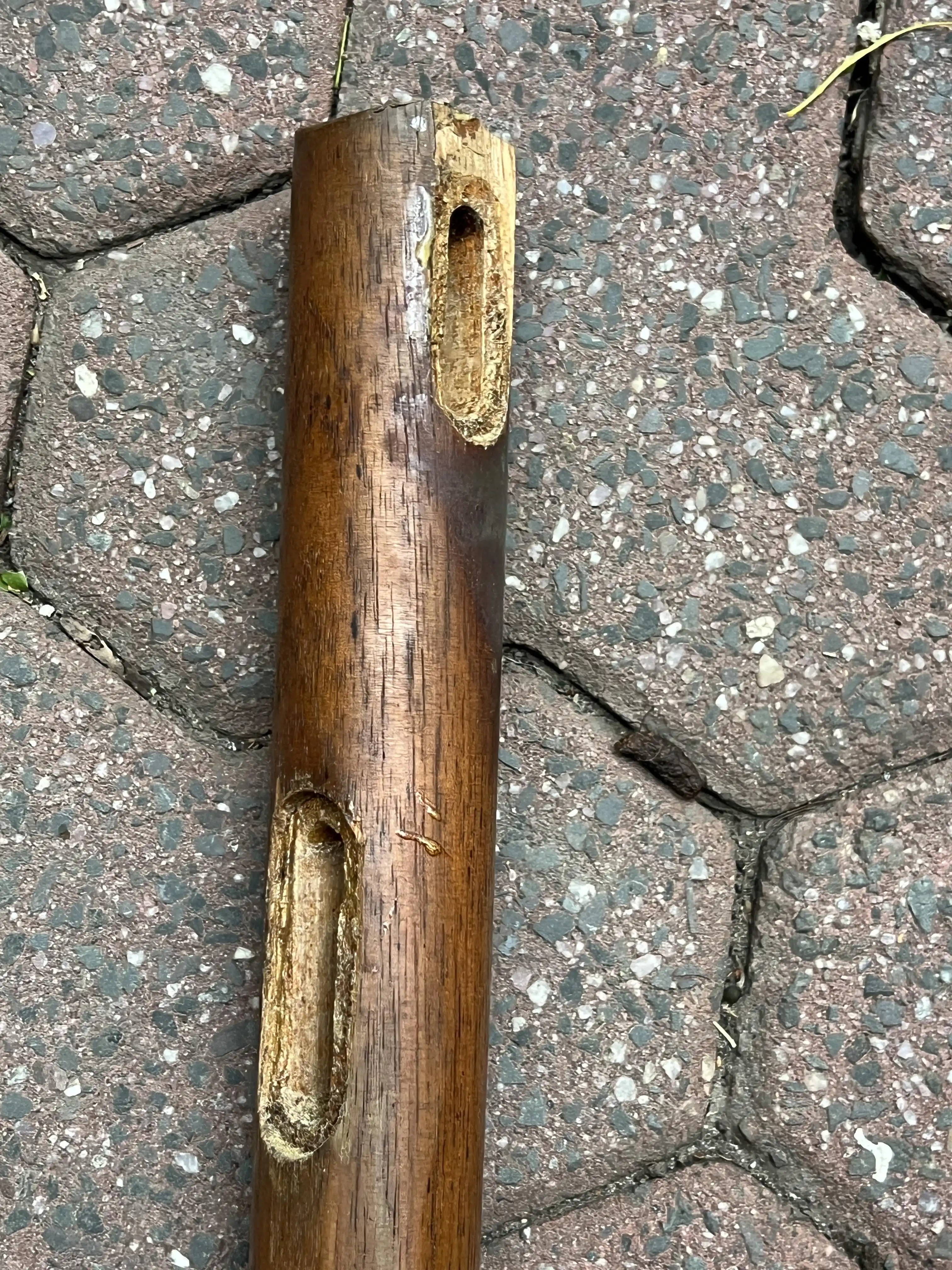 1960'lar Ahşap Sandalyelerde Eski Tutkalın Temizlenmesi ve Yeniden Yapıştırma Teknikleri