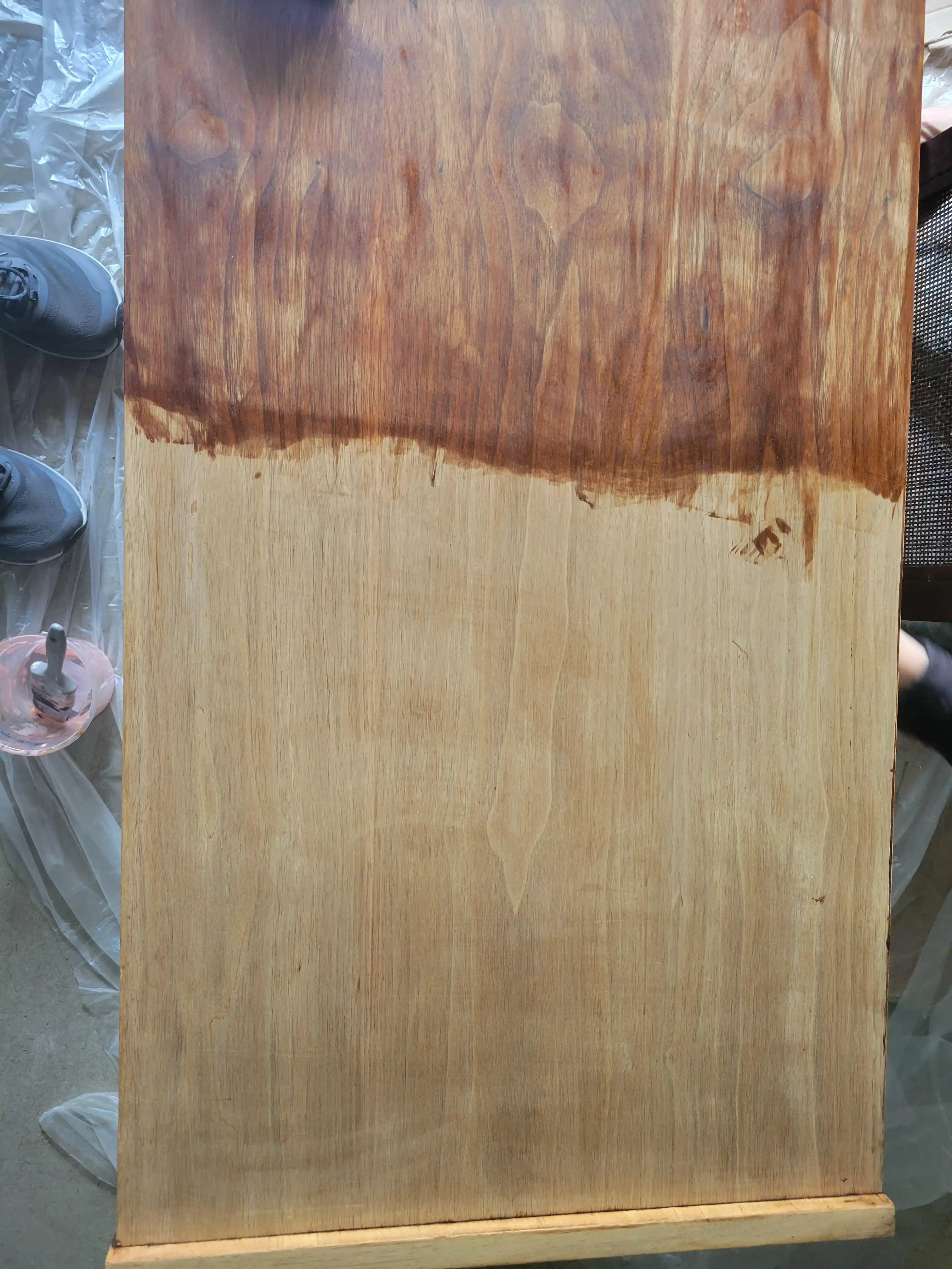 Ahşap Türlerinin Damar Deseni, Renk ve Sertlik Özellikleri ile Tanımlanması