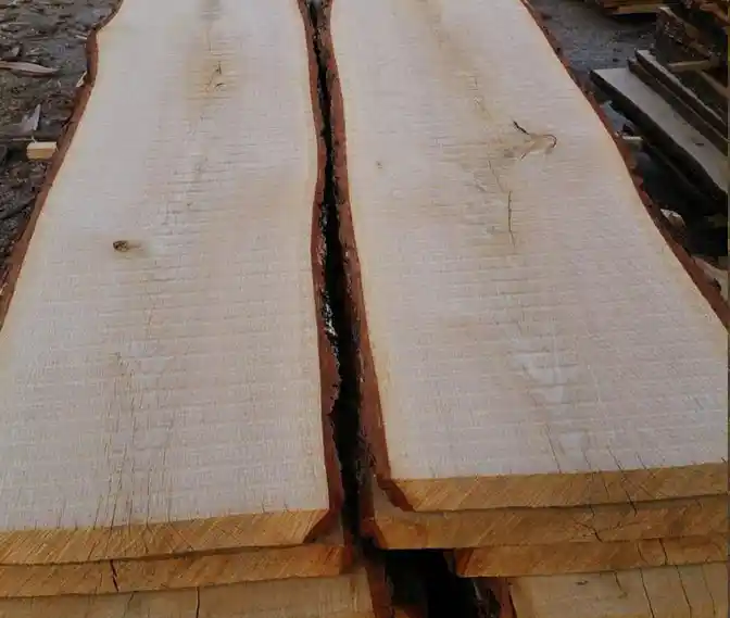 Büyük Beyaz Meşe Ağacının Kereste Haline Getirilme Süreci ve Uygun Kurutma Yöntemleri