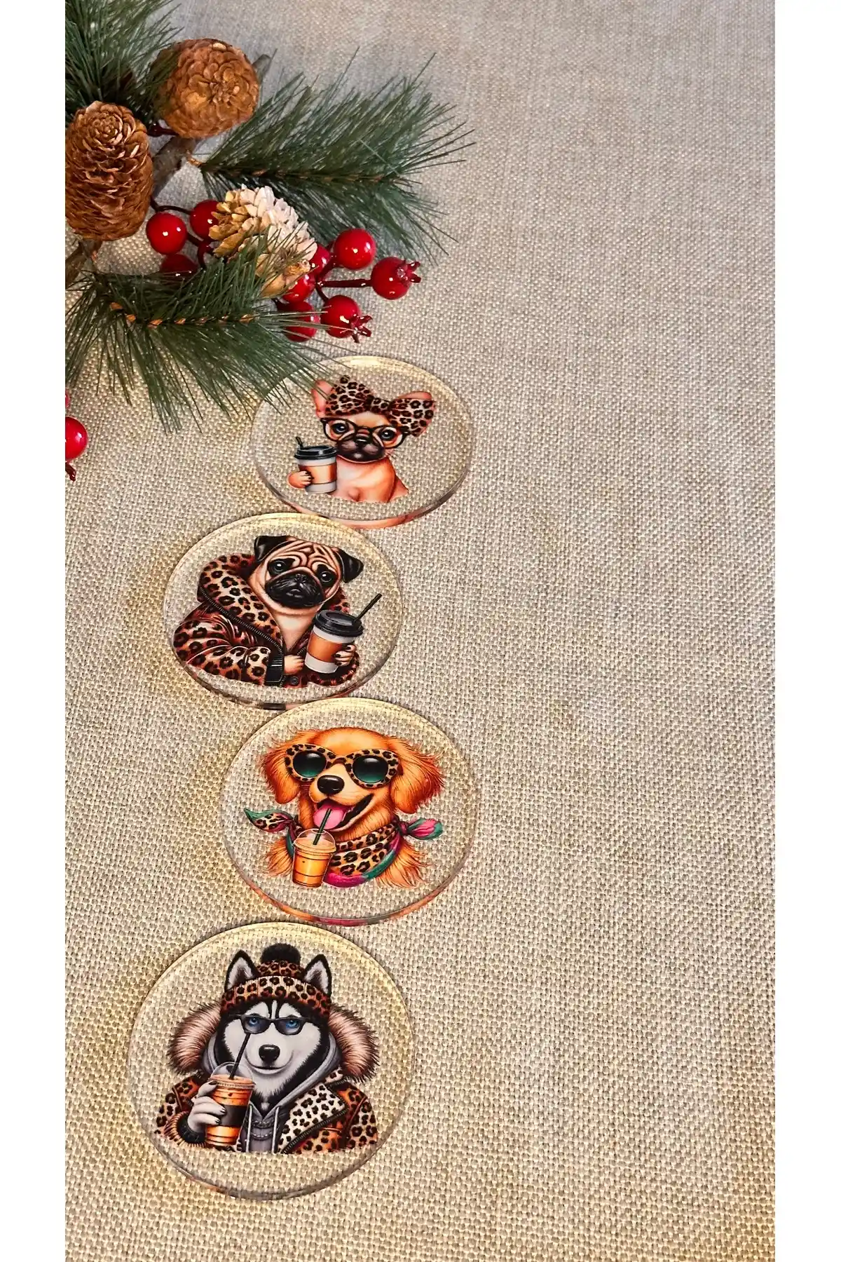 Queen Bee İstanbul Eğlenceli Hayvan Desenli Şeffaf Bardak Altlığı Seti 4 Parça