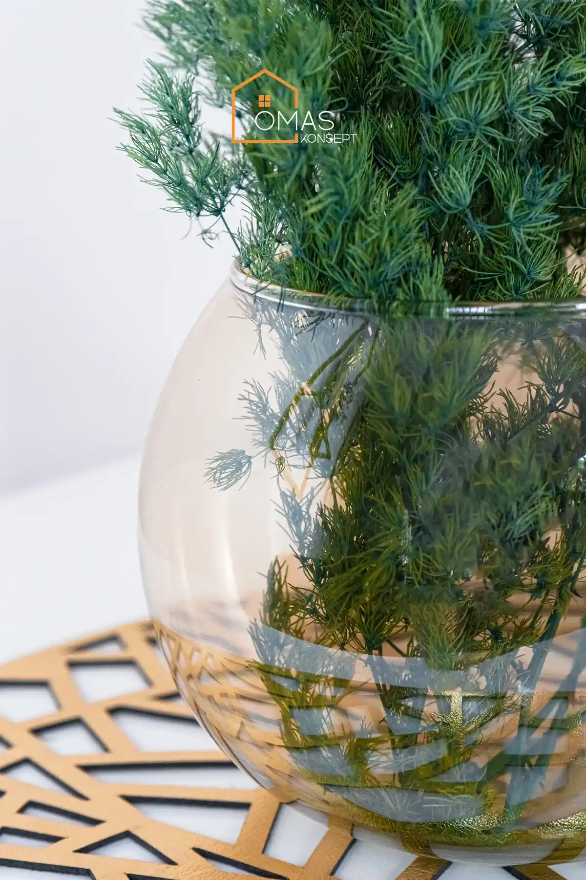 Fanus Vazolar: Şeffaf ve Zarif Dekoratif Objelerle Mekânlarınızı Güzelleştirin