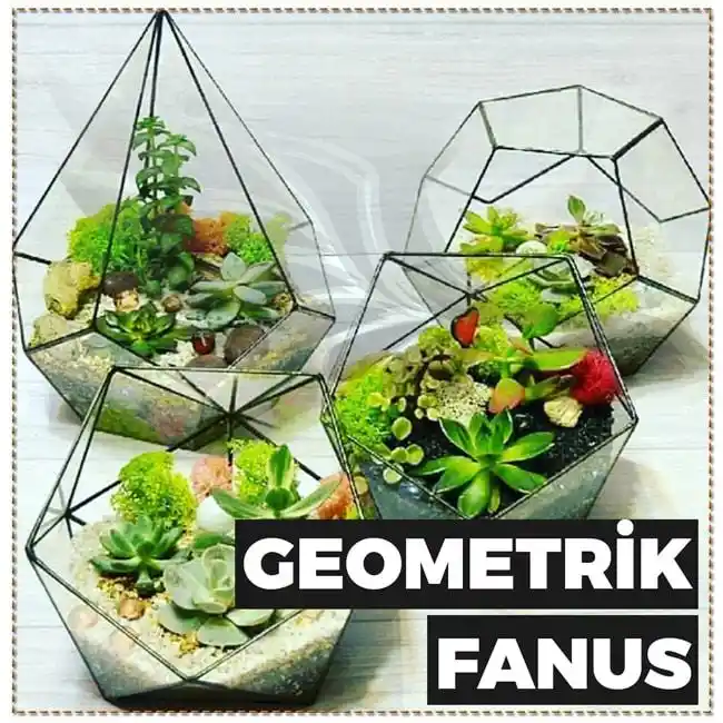 Ikea'da Teraryum Malzemeleri: Seçim ve Kullanım Rehberi İç Mekan Dekorasyonu İçin