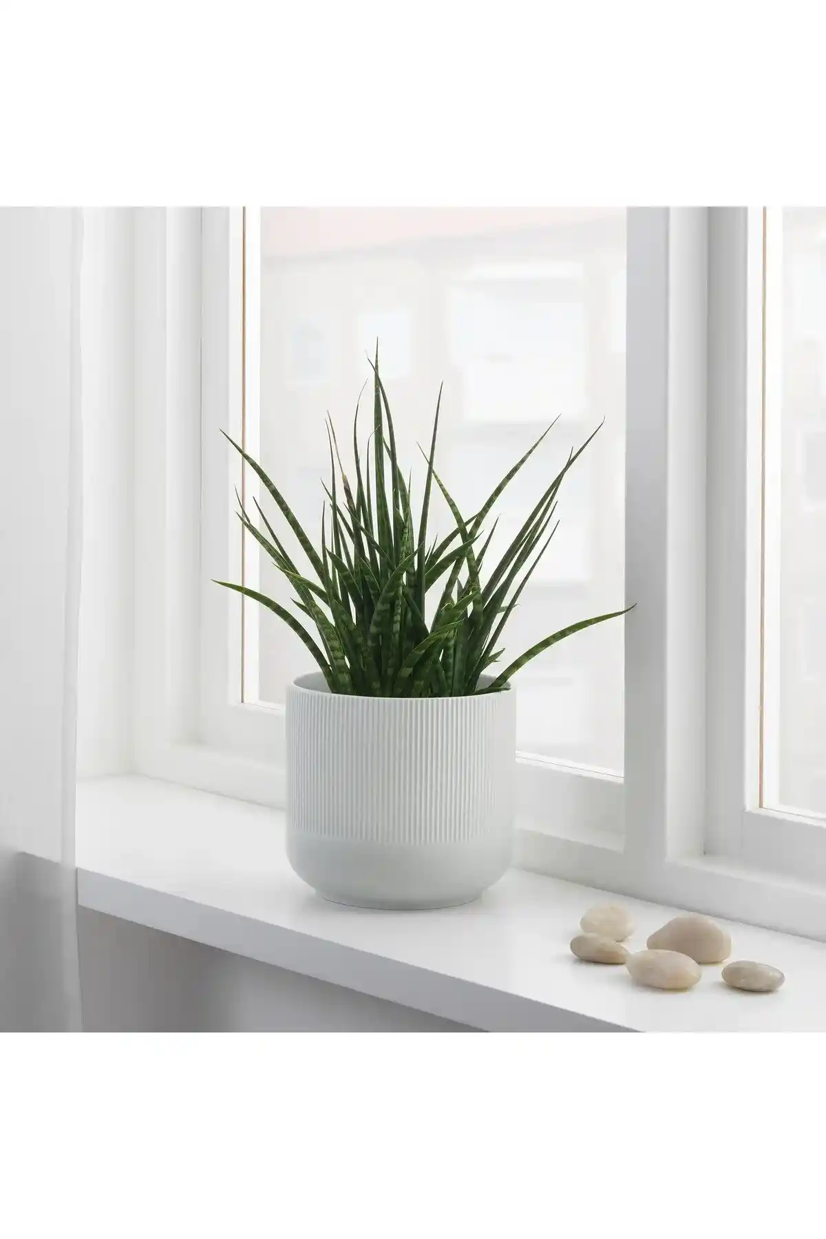 İKEA Dekoratif Saksılar: Estetik ve Fonksiyonellik Sunan Çeşitler ve Seçim İpuçları