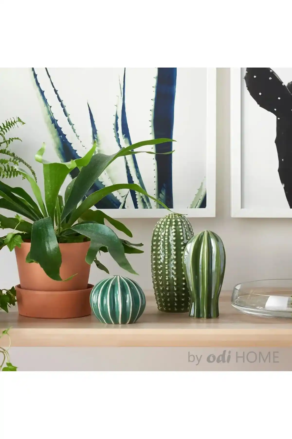 İkea Kaktüs Setleri ile Ev Dekorasyonunda Doğal ve Şık Bir Atmosfer Yaratma Rehberi