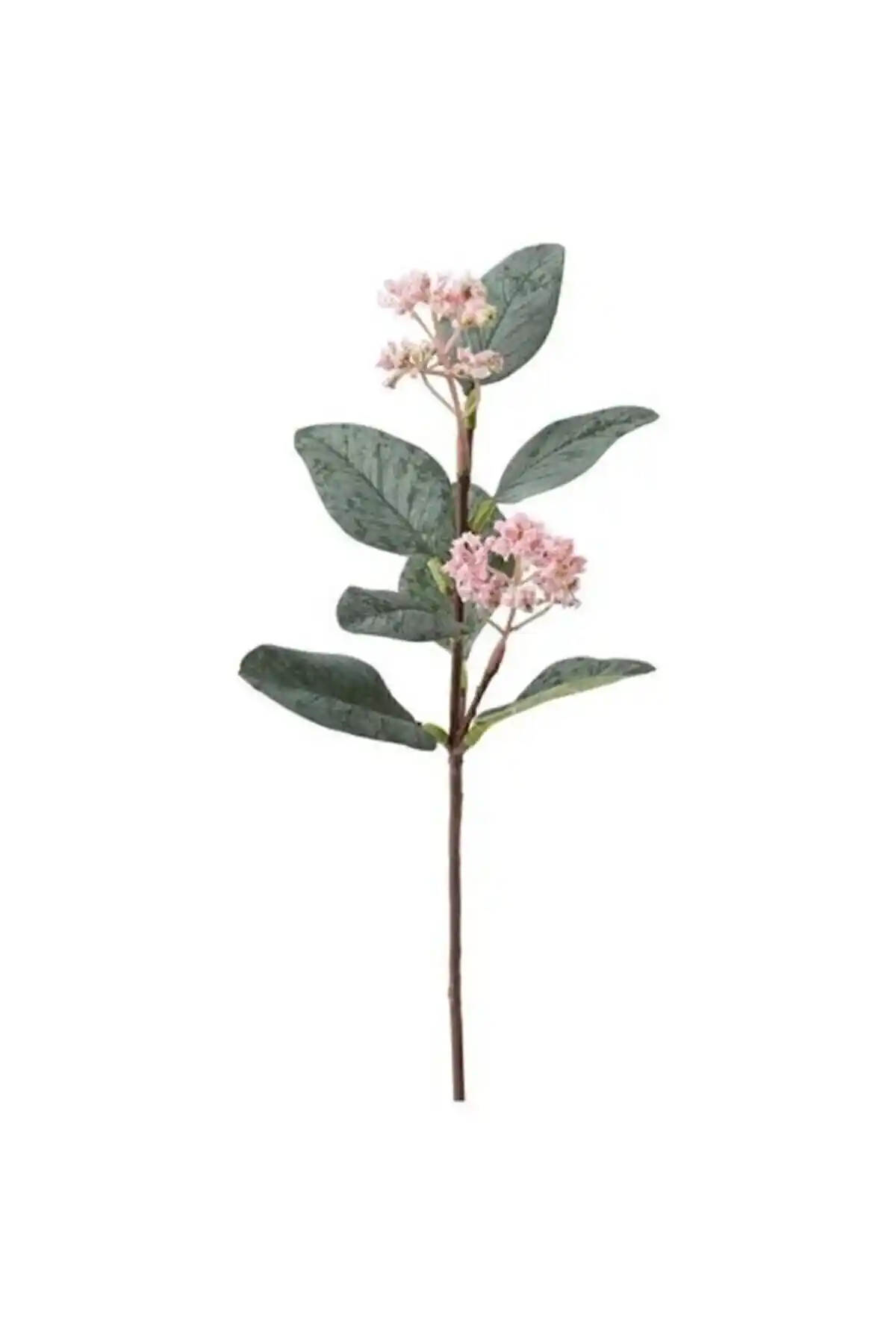 İKEA Yapay Okaliptüsler: Modern İç Mekanlar İçin Bakım Gerektirmeyen Dekorasyon Seçeneği