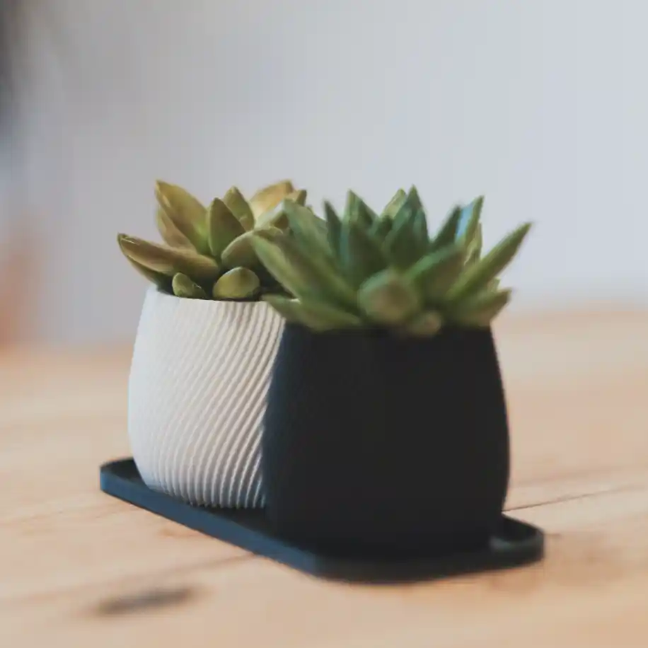 Minimal Saksılar ile Modern ve Şık Dekorasyon Çözümleri İçin İpuçları ve Trendler