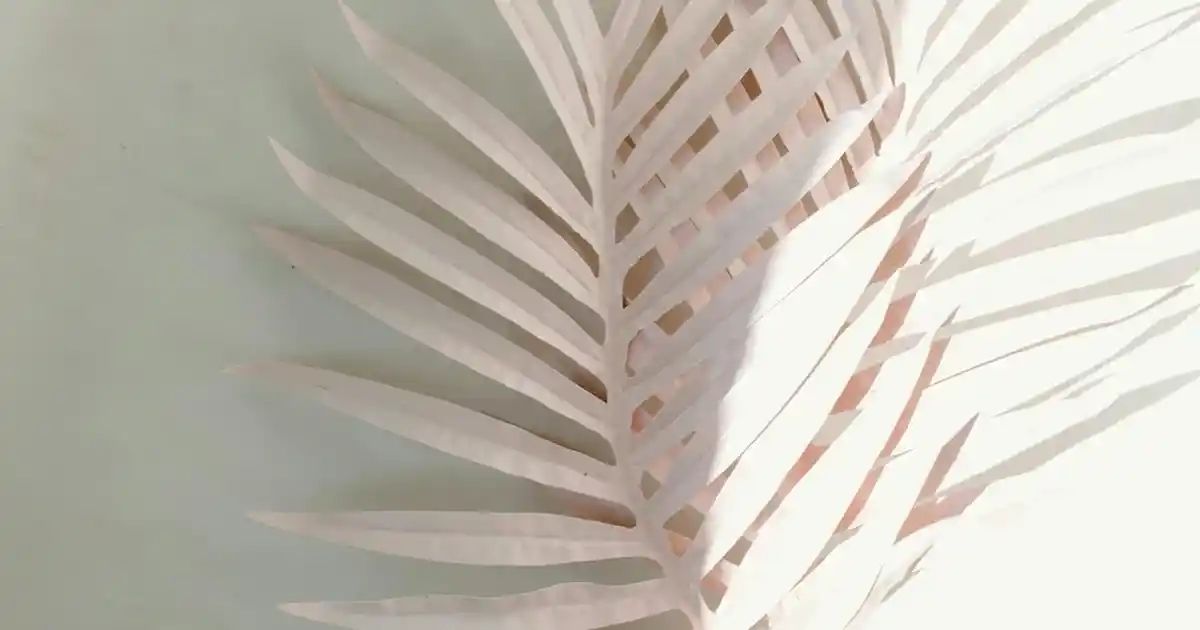 Stanley 2.3 Litre Termos Kılıfı: Dayanıklı ve Yüksek Kapasiteli İçecek Taşıma Çözümü