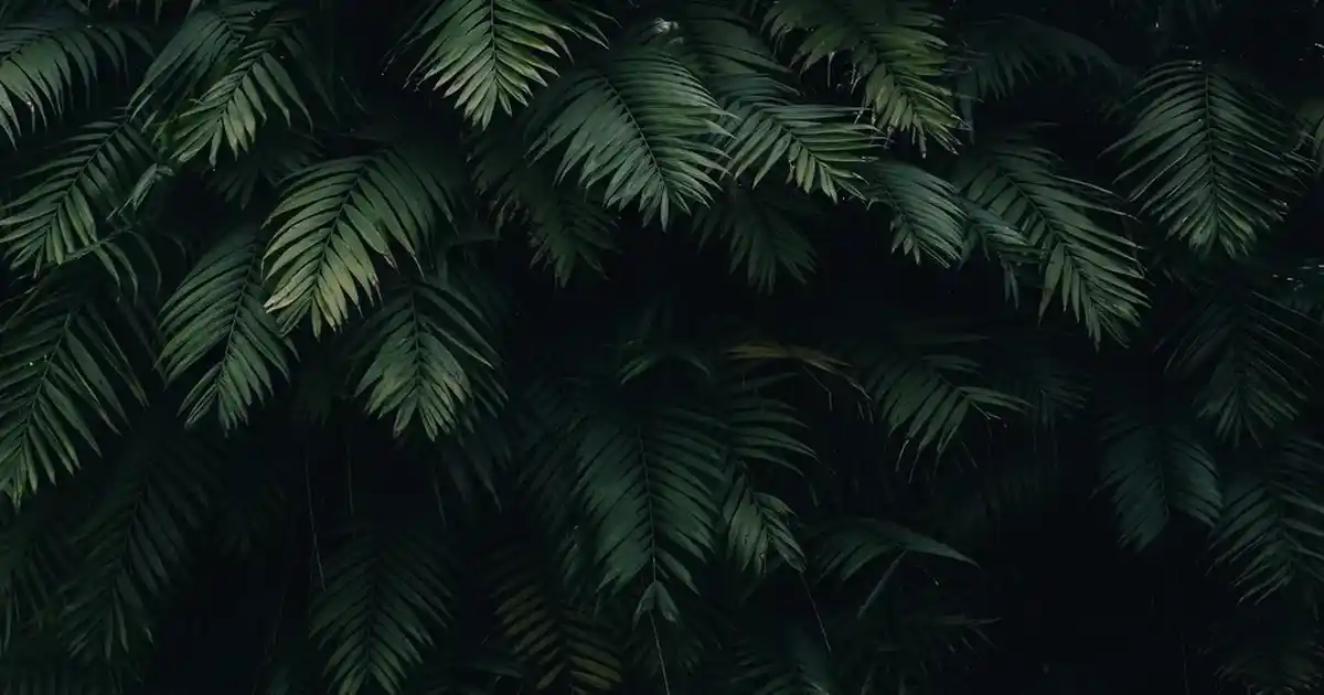 Stor Perde Kutuları ile Dekorasyon ve Fonksiyonellikte Yeni Bir Dönem