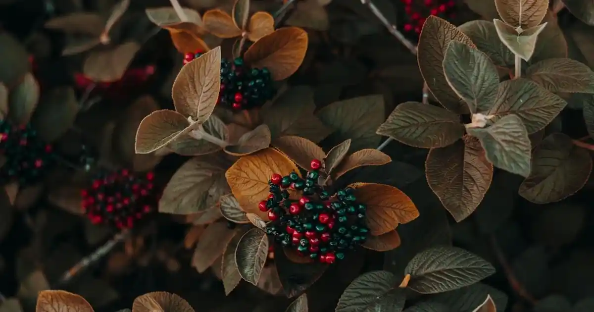 Yuvarlak kaydırmaz halılar: Güvenlik ve estetik açısından ideal ev dekorasyon ürünleri