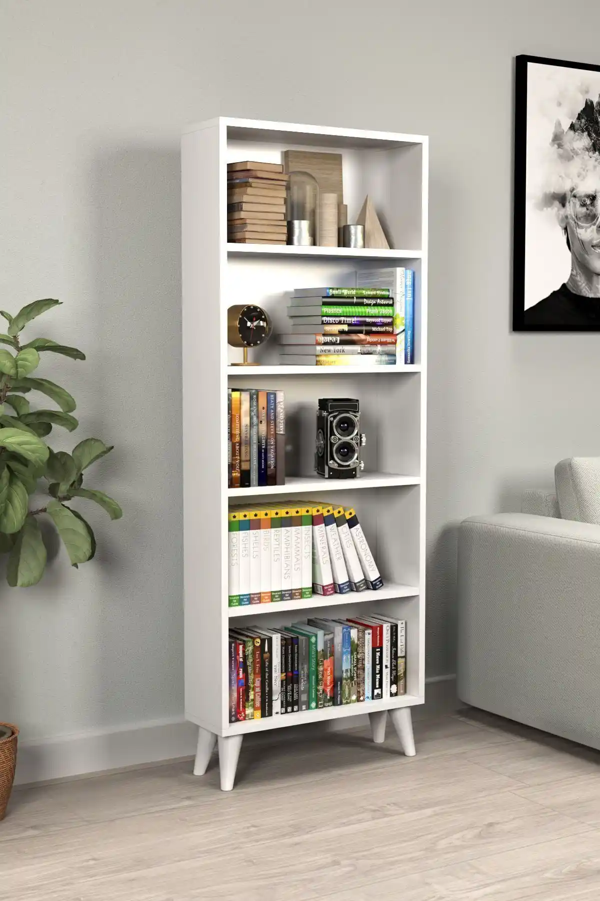 MONTENERO ve Moonlife London Kitaplıklarının Detaylı Karşılaştırması