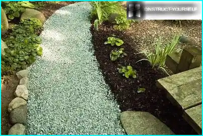 Bahçenizi Renklerle Dolduracak En Güzel Çiçekler ve Ekim Önerileri