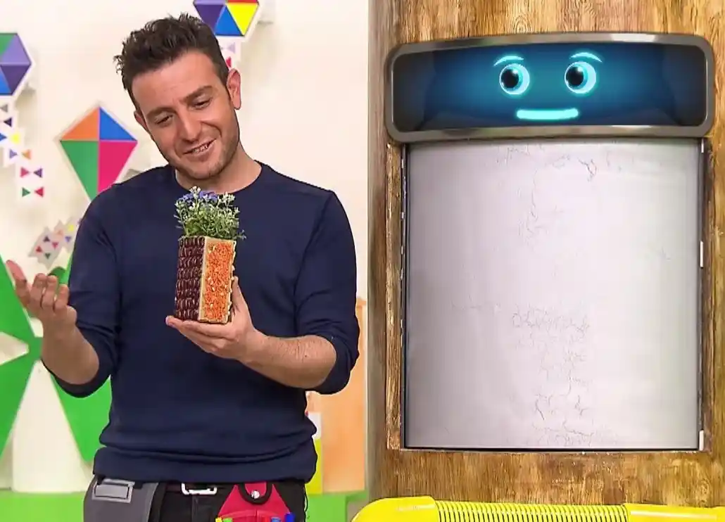 Baklagil Kutuları ile Dekorasyonda Doğal ve Estetik Çözümler 2023