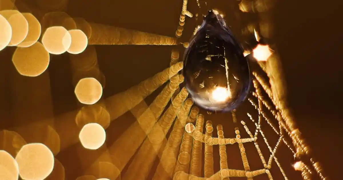 Balkon Çiçekleri ile Modern ve Estetik Dekorasyon Fikirleri ve Bakım İpuçları