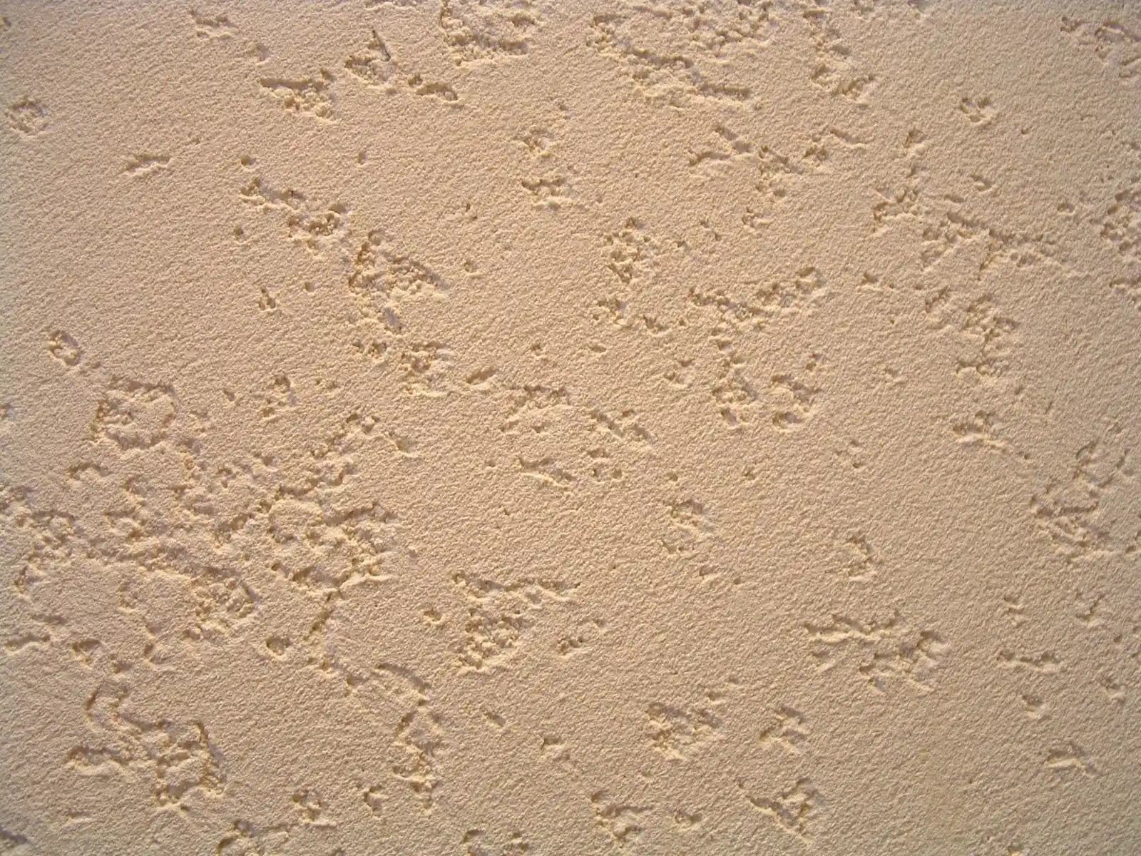 Bej Duvar Rengi ile Dekorasyonda Zarafetin Anahtarı ve Uygulama İpuçları