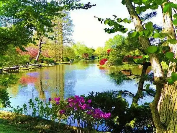 Doğal Manzara ve Çiçek Resimleriyle Dekorasyonun Gücü ve Uygulama İpuçları