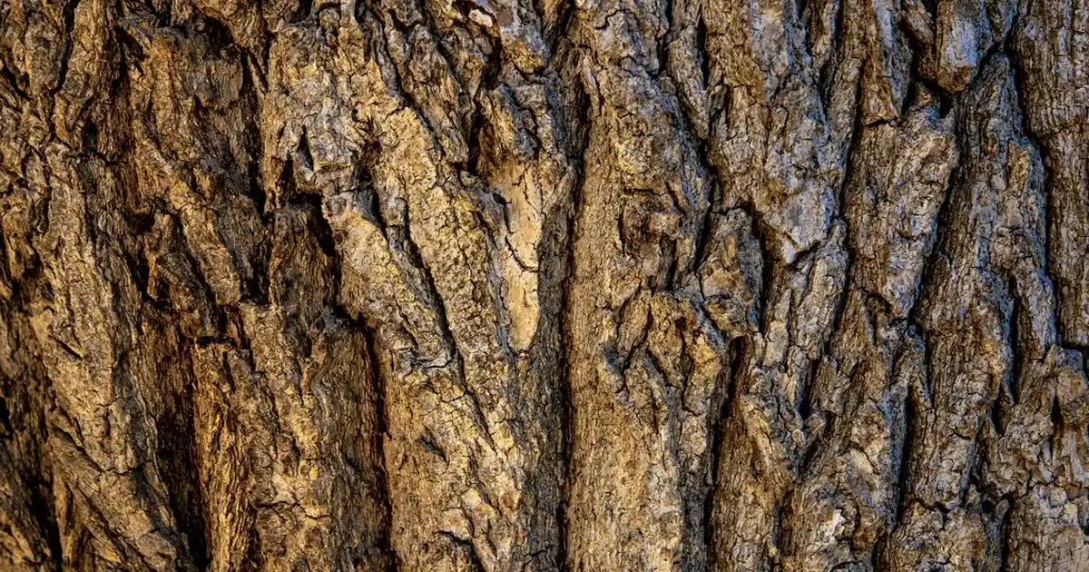 Dolap Süsleri ile Ev Dekorasyonunda Şıklık ve Tarz Yaratma Rehberi