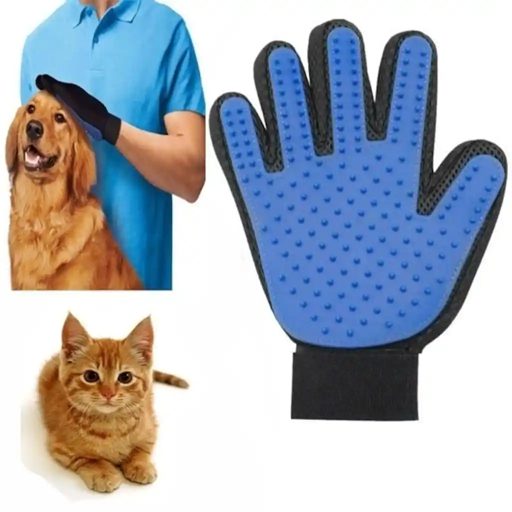 Ev Dekorasyonunda Yaratıcı Detaylar ve Kedi Tarağı Eldivenleri Kullanımı