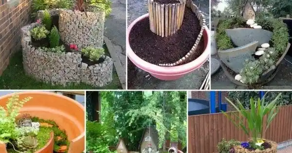 İlginç Saksı Tasarımlarıyla Dekorasyonunuza Yenilik Katın ve Mekânlarınızı Geliştirin