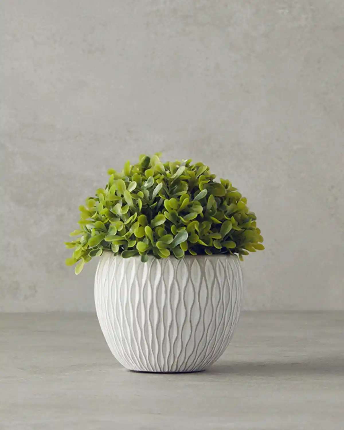 İngiliz Tarzı Ev Dekorasyonunda Çiçek Kullanımı ve Dekorasyon İpuçları