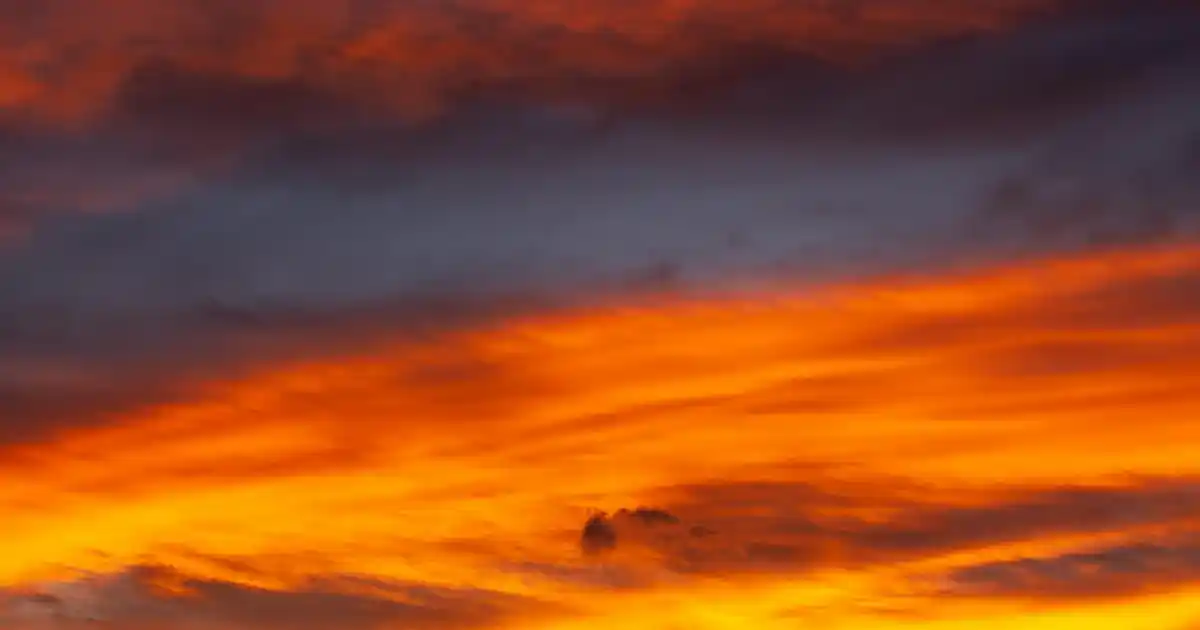 İşlemeli Banyo Paspasları ile Dekorasyonda Zarafet ve Fonksiyonellik Sağlayın