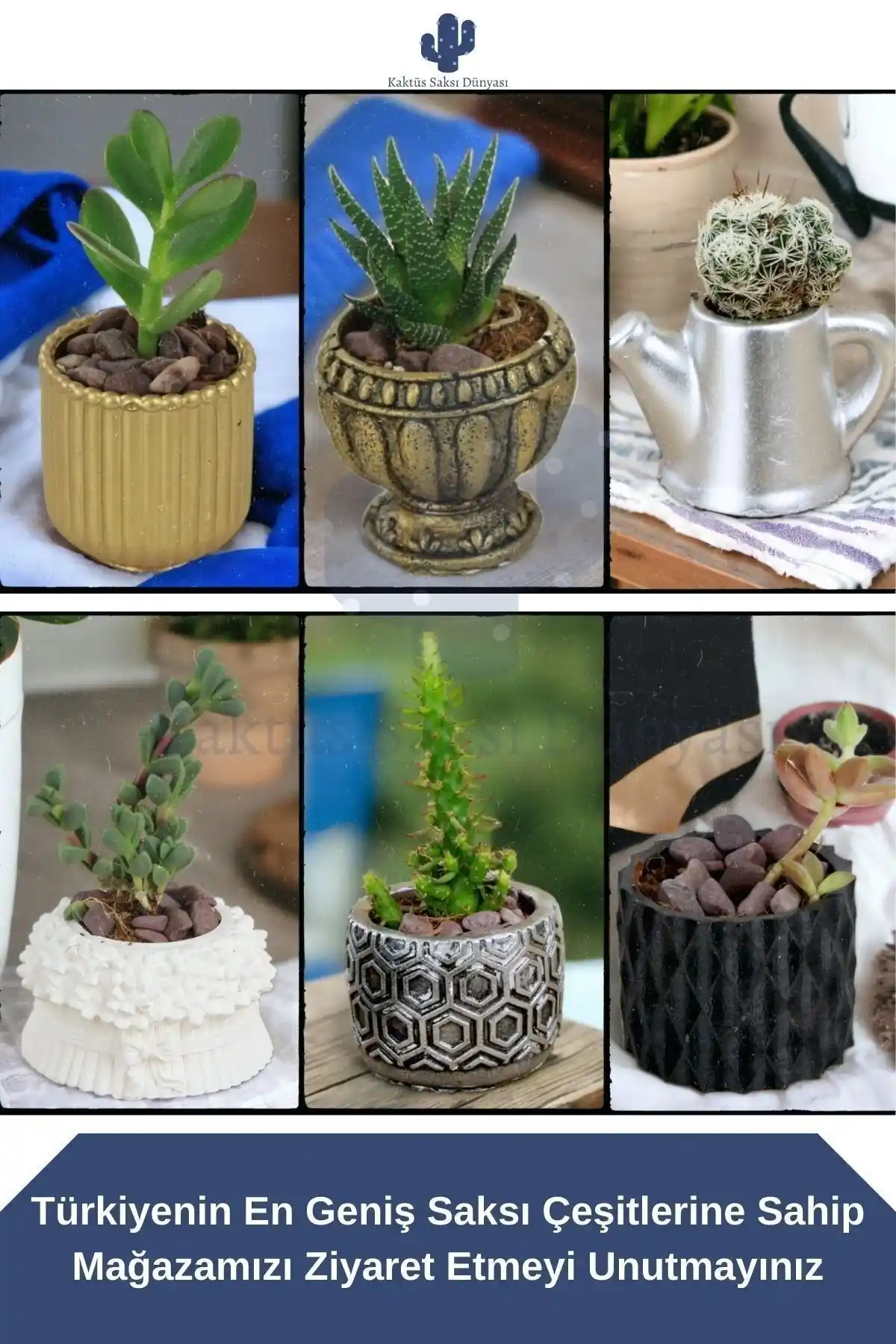 Kaktüs Saksılarıyla Modern ve Minimal Dekorasyon İçin Uygun Seçenekler ve İpuçları